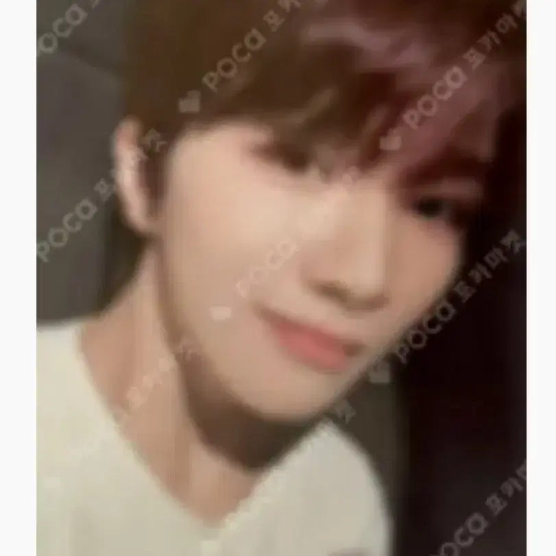 보넥도 운학 포토카드 일괄 판매