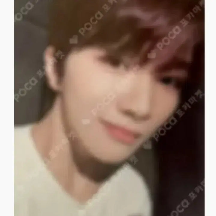 보넥도 운학 포토카드 일괄 판매