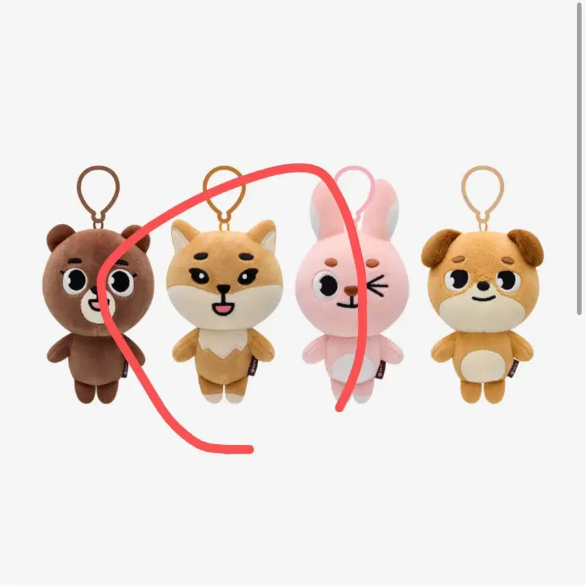 데이식스 19케 미개봉 양도