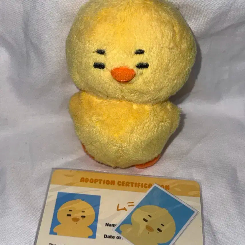 엔하이픈 니키 무라삐 인형 + 입양증