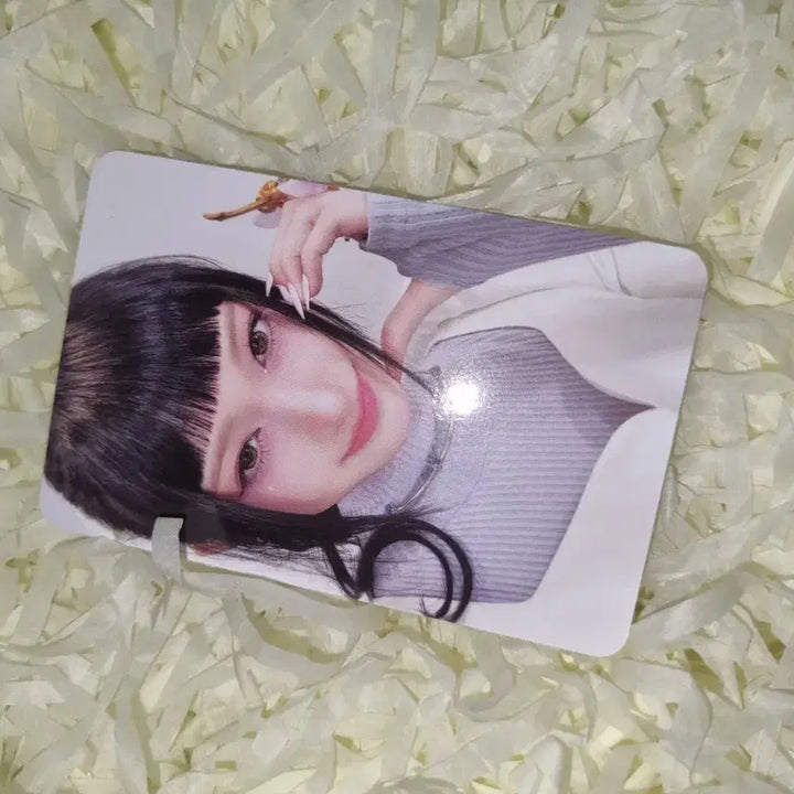 아이브 이서 포토카드