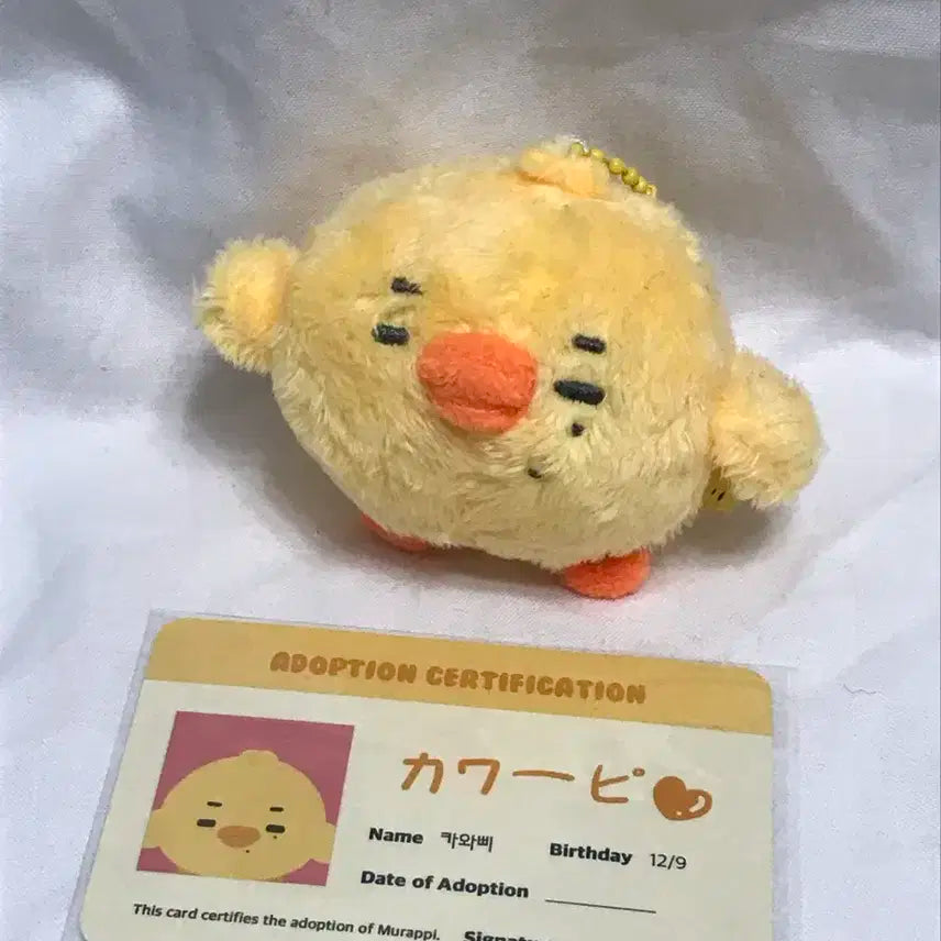 엔하이픈 니키 카와삐 인형
