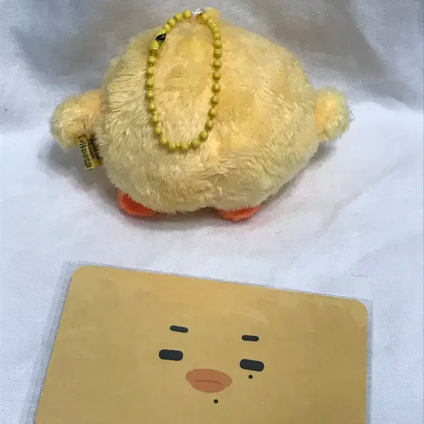 엔하이픈 니키 카와삐 인형