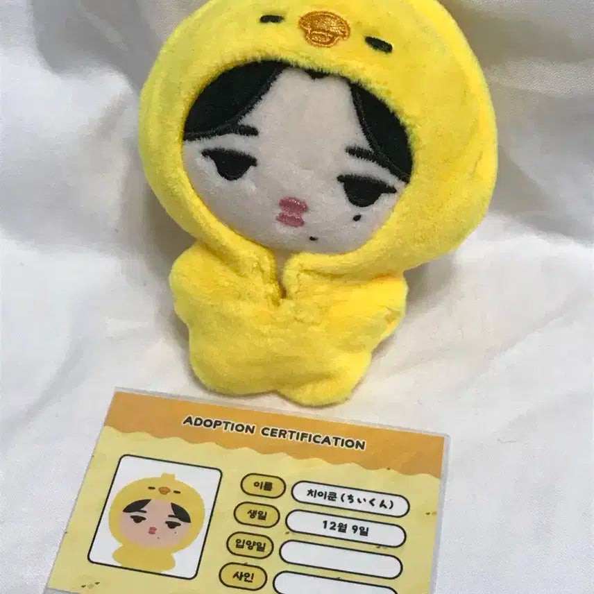 엔하이픈 니키 치이쿤 병아리 인형