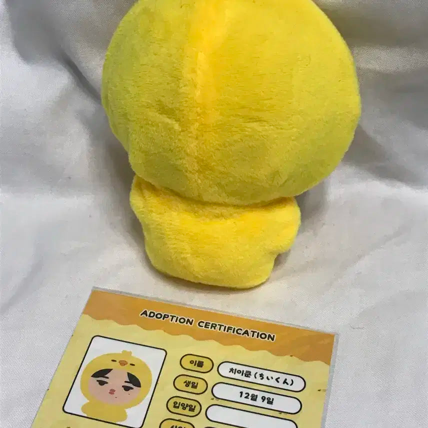 엔하이픈 니키 치이쿤 병아리 인형