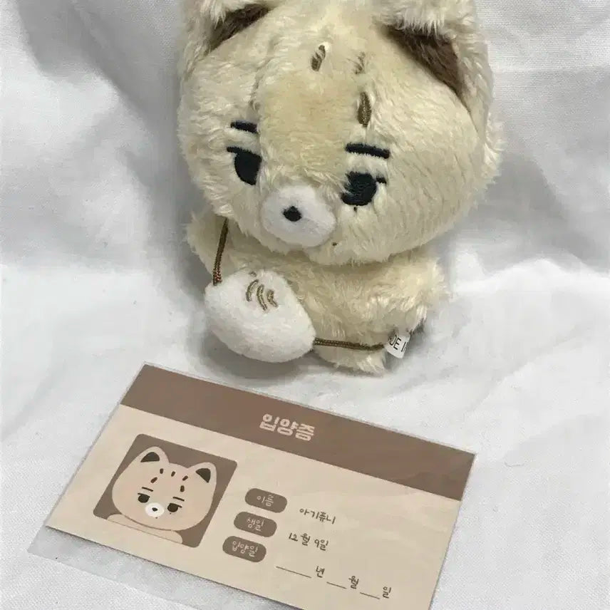엔하이픈 니키 아기퓨니 인형 + 입양증