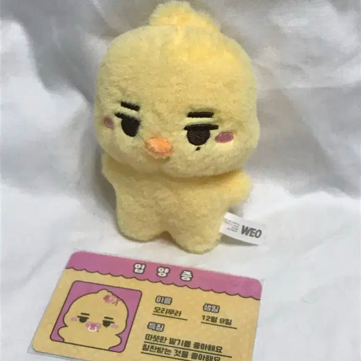 엔하이픈 니키 오리무라 인형