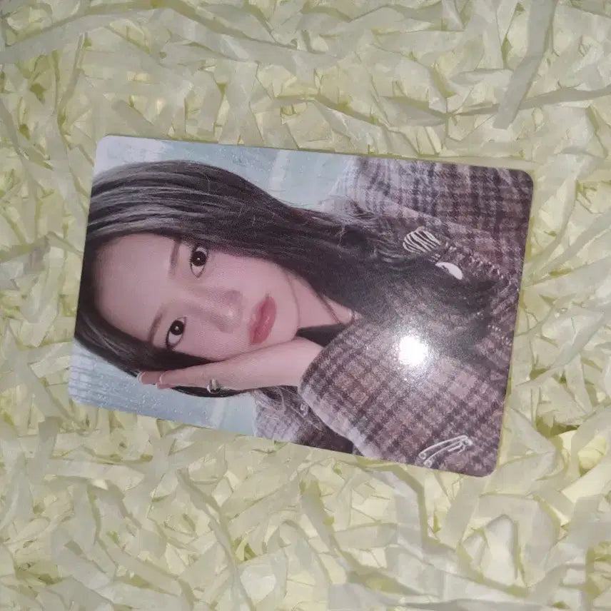 아이브 유진 포카