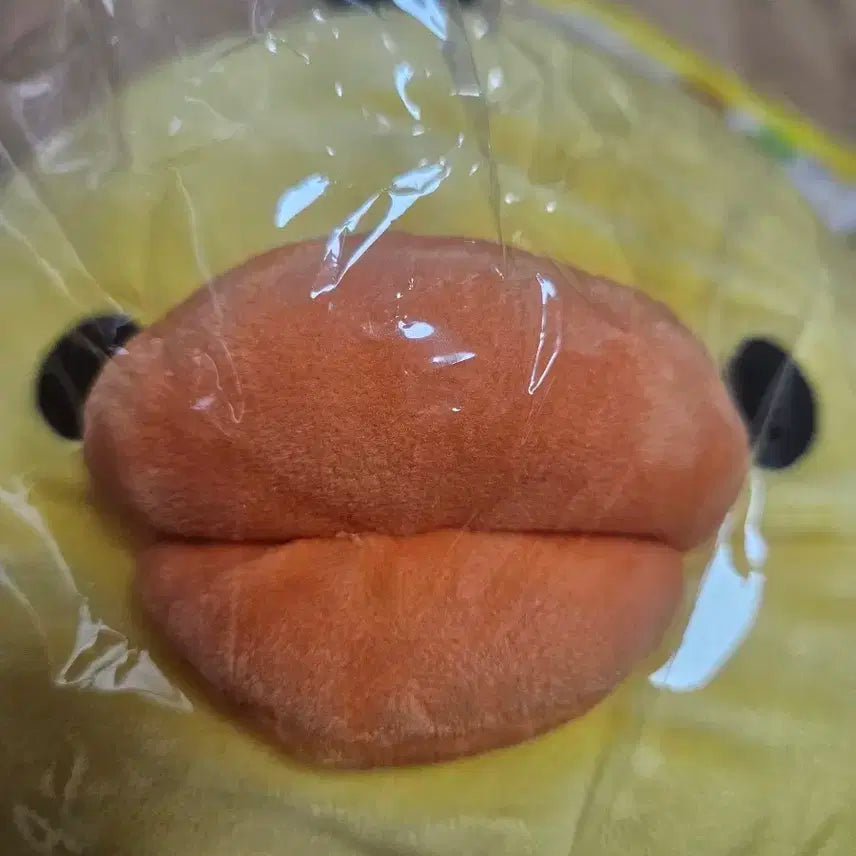 키이토리