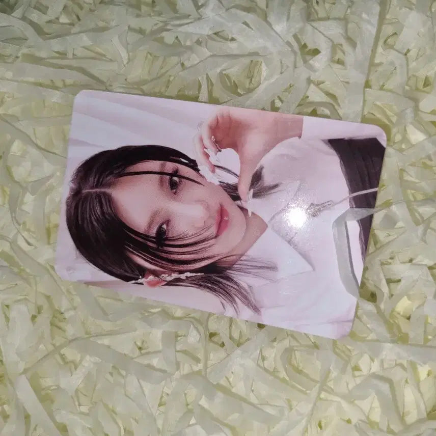 아이브 가을 포카 양도합니다
