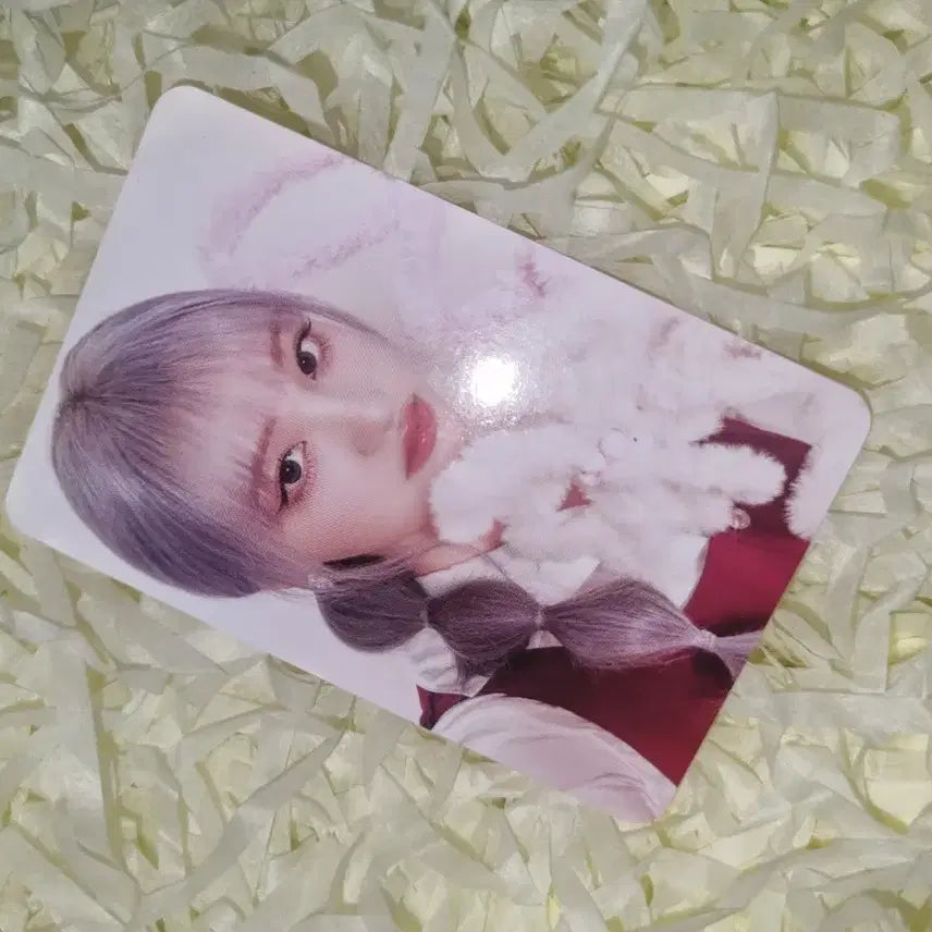 아이브 리즈 포카양도