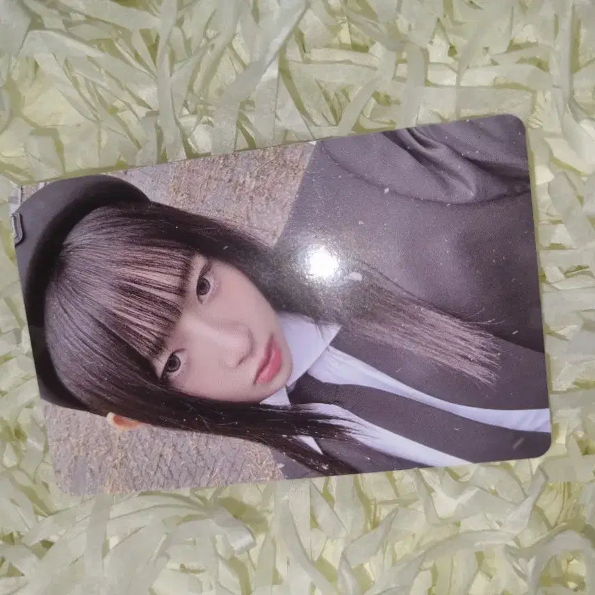 아이브 엠파시 레이 포토카드