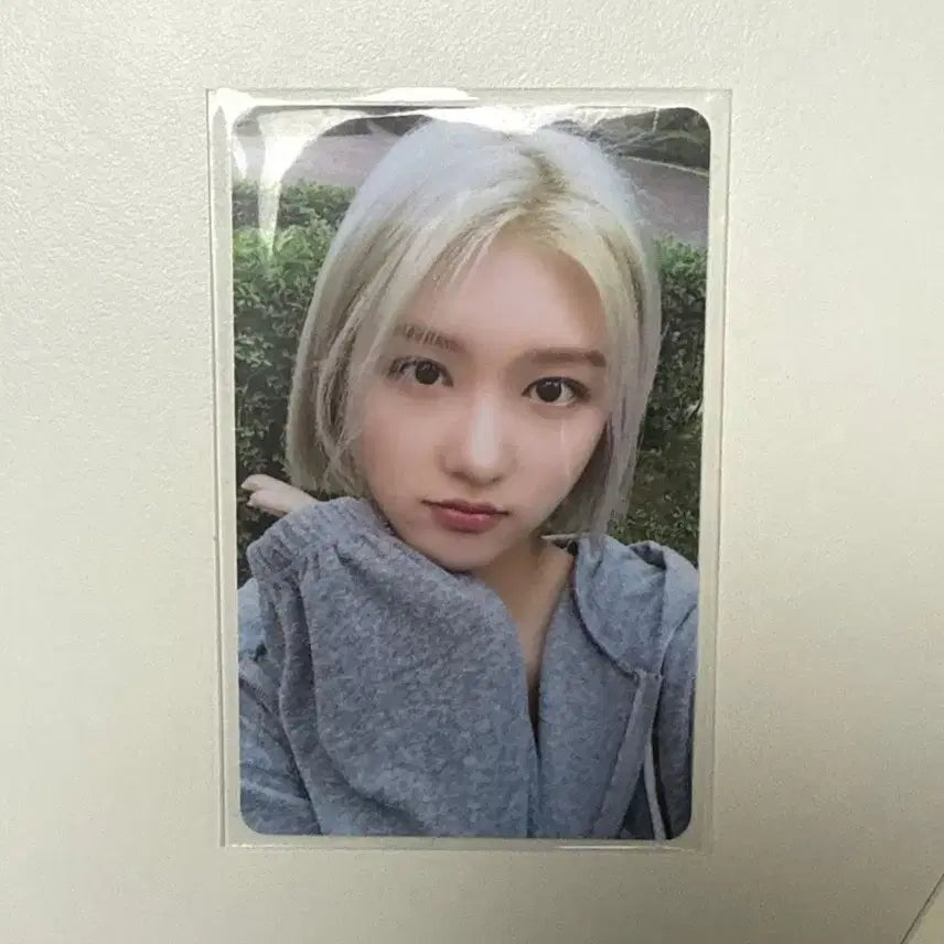 아이브 가을 애프터라이크 위드뮤 럭드 포카