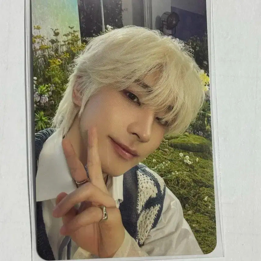 세븐틴 포카