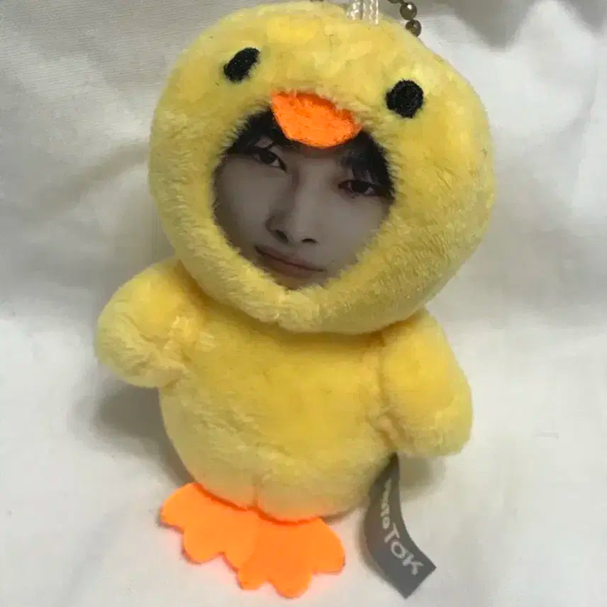 엔하이픈 니키 병아리 인형 키링 포토톡