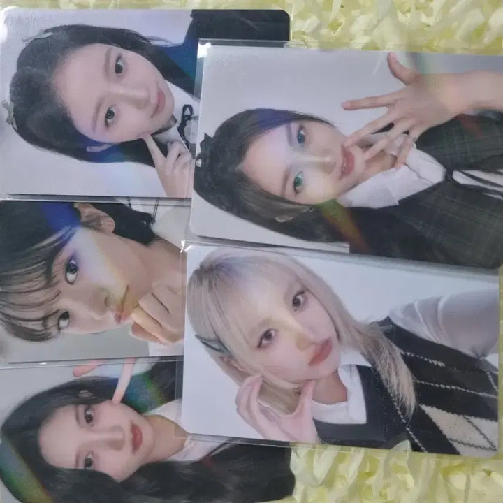 아이브 파파존스포카 양도
