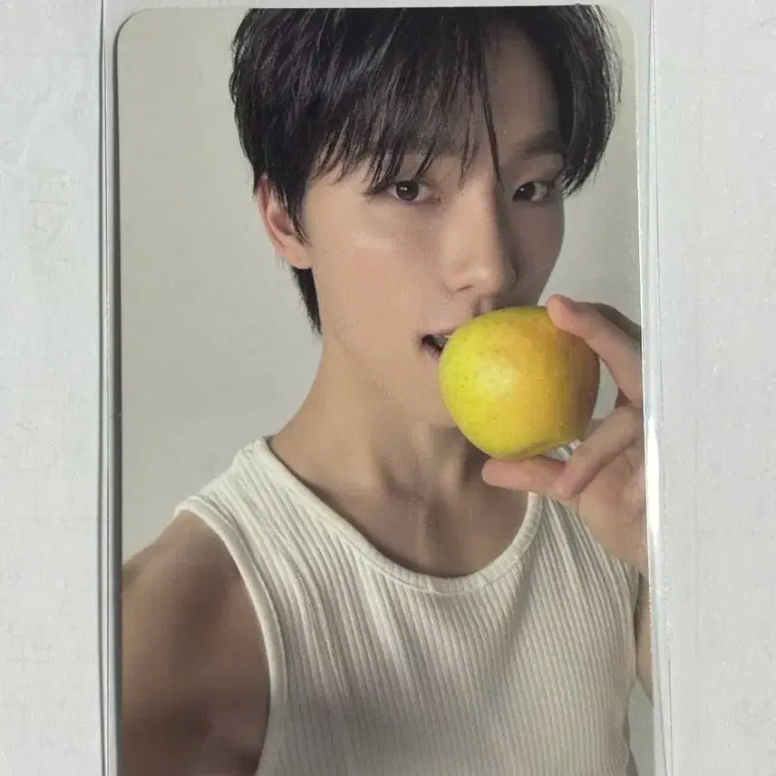 세븐틴 디노 포카