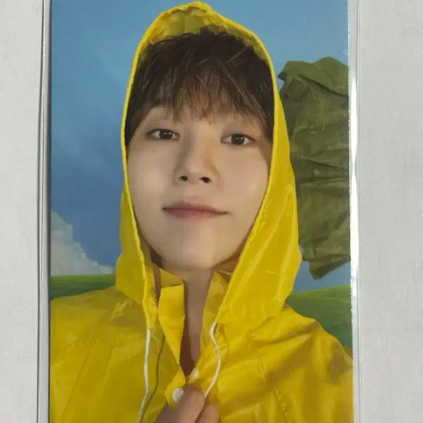 세븐틴 승관 포카