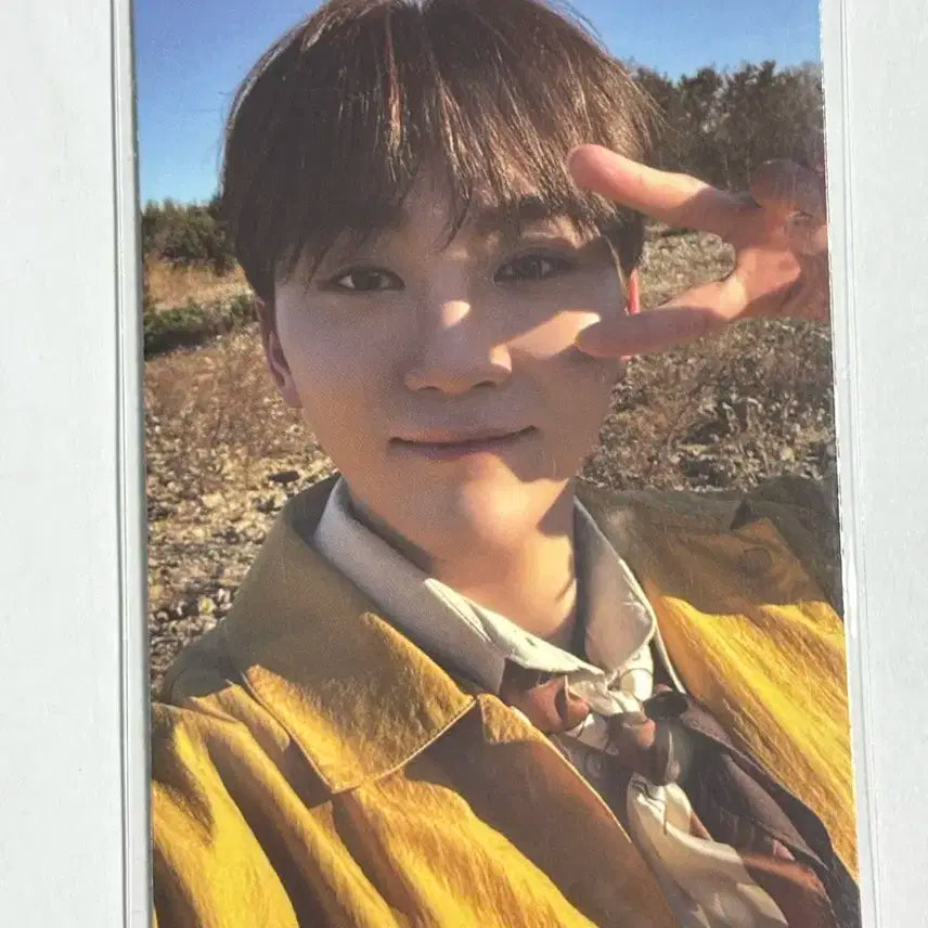세븐틴 승관 포카