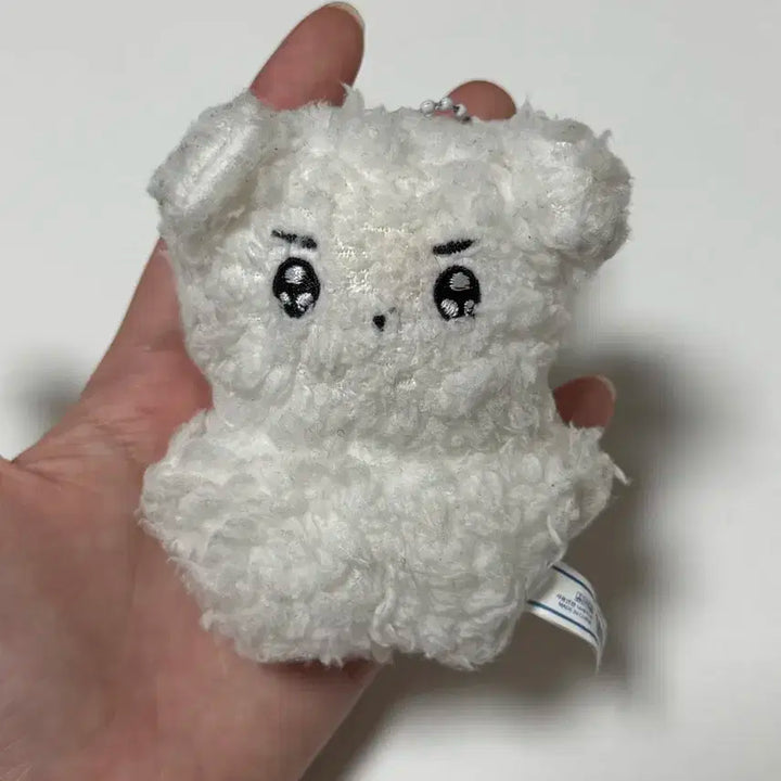 더보이즈 영훈 빵꼬미 10cm 인형