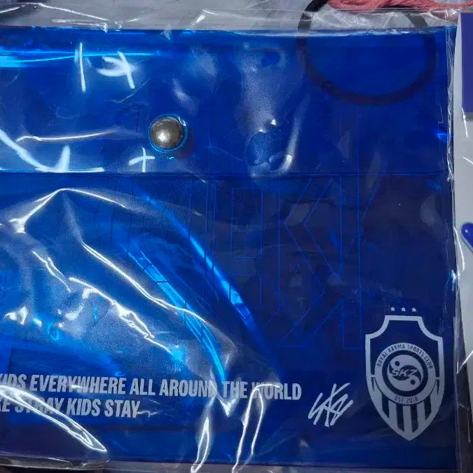 스키즈 카르마 pvc파우치, 뽁아리 음양키링