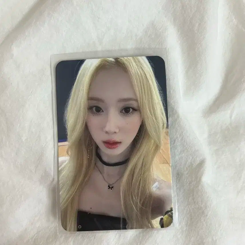 윈터 드라마 스타리버3차 포카