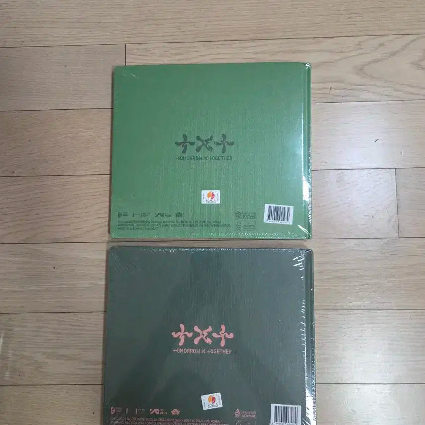 투모로우바이투게더 템테이션 앨범