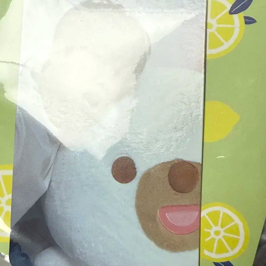 데이식스 도운 소울컵 뱃지 + 포토카드