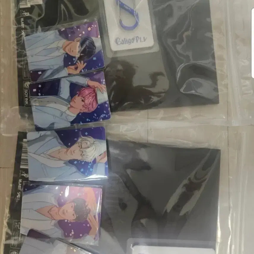 플레이브 포카 및 앨범