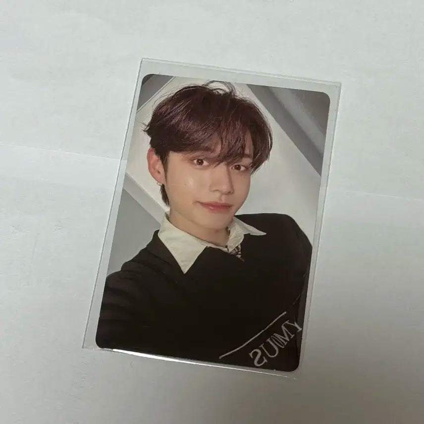 제로베이스원 제베원 가시 김지웅 포카 양도