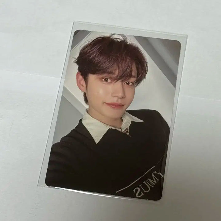 제로베이스원 제베원 가시 김지웅 포카 양도