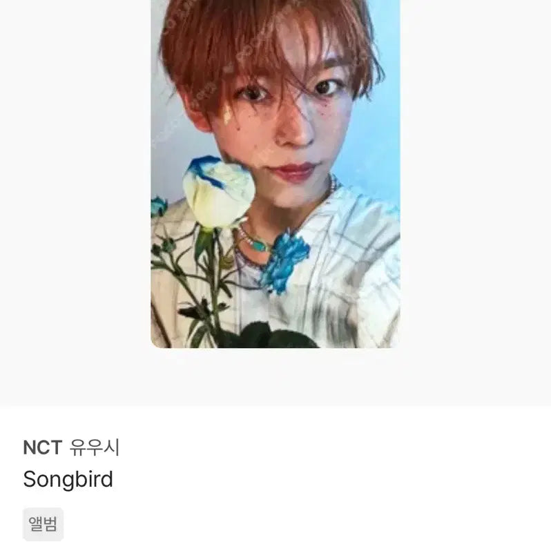 배포) songbird 유우시 포카