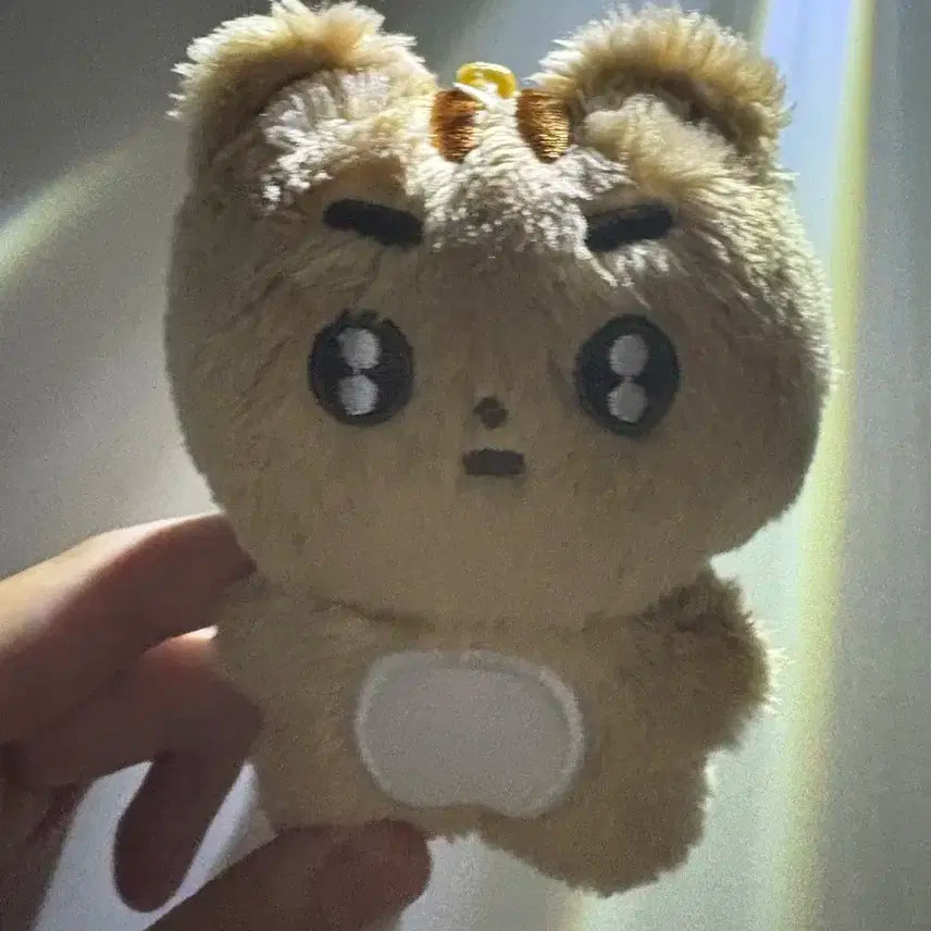 뽀송텬판매함니다 투바투 강태현