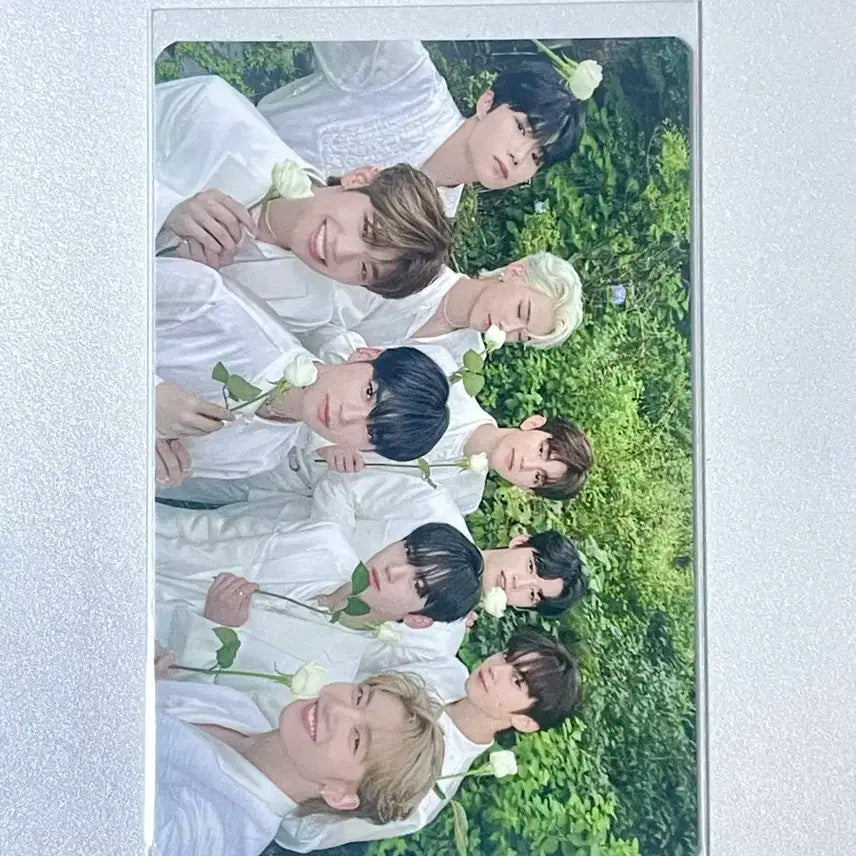 제베원 장하오 팬콘 엠디 포카 일괄 양도