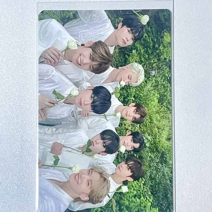 제베원 장하오 팬콘 엠디 포카 일괄 양도