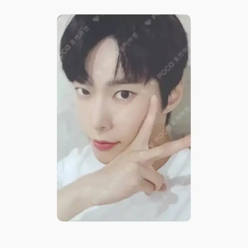 산리오 도영 유리컵+포카 세트