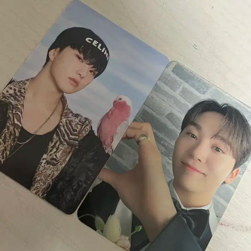 호시&부승관 포카 일괄