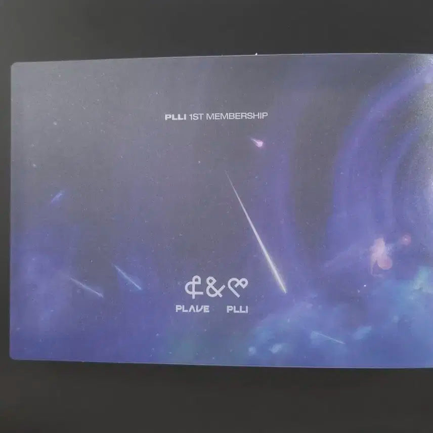 플레이브 퍼스트멤버십 포카바인더