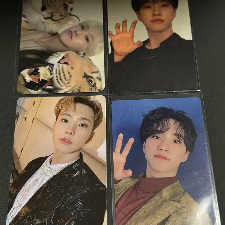 세븐틴 호시 포카 히쟈나 히토리쟈나이 시즌그리팅 호랑해