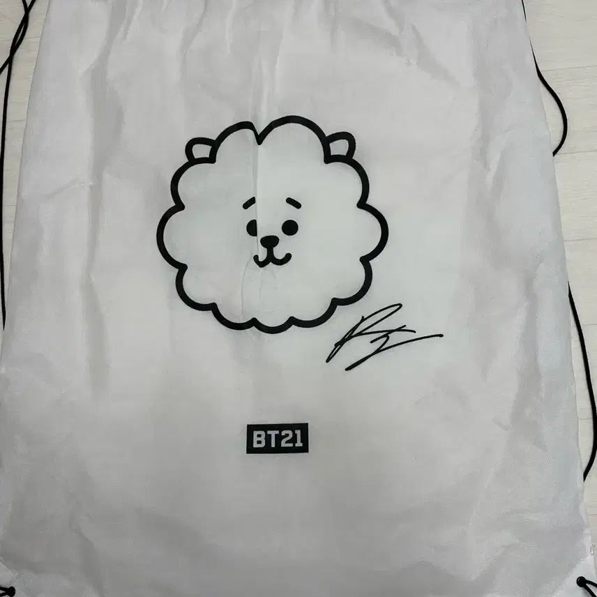 방탄소년단 bt21 RJ 알제이 42cm 얼굴 쿠션 (판매종료된 희귀매물