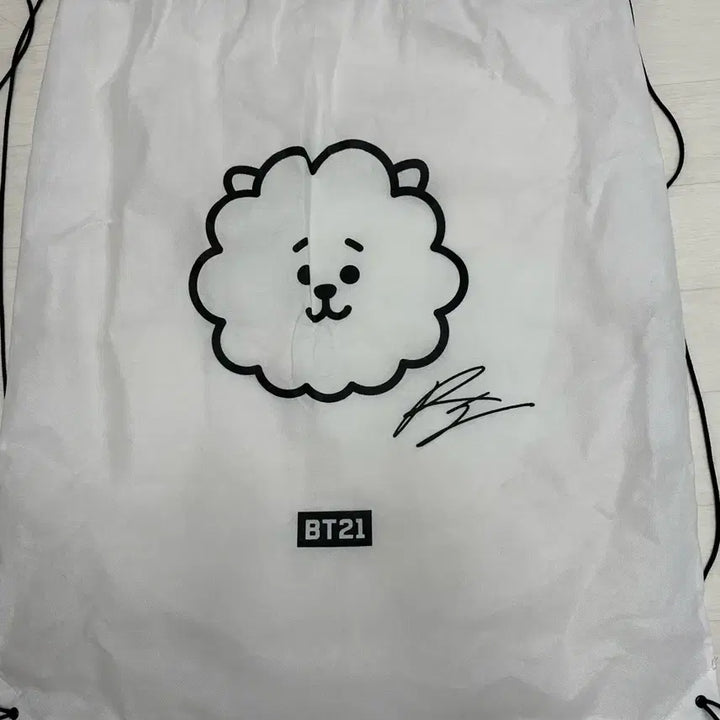 방탄소년단 bt21 RJ 알제이 42cm 얼굴 쿠션 (판매종료된 희귀매물