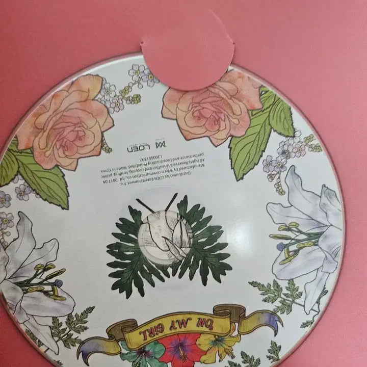 오마이걸 컬러링북 친필사인 앨범