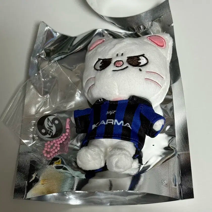 스트레이키즈 카르마 스키주 지니렛 판매합니다