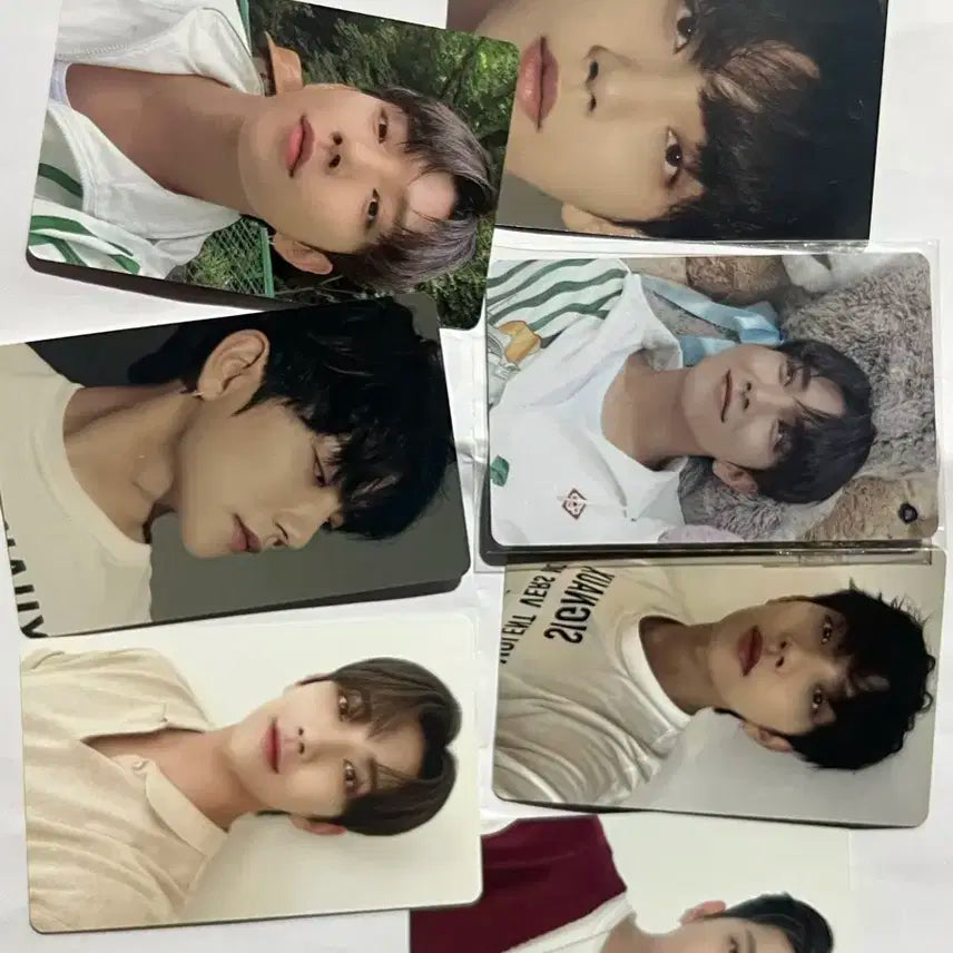 세븐틴 조슈아 포카 양도