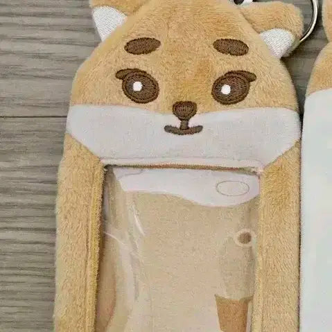 데이식스 포카홀더 쁘띠멀즈 레윗노 케 필 원필 영케이