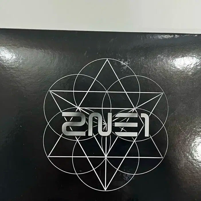 2NE1 투애니원 콘서트 VIP 스페셜 굿즈