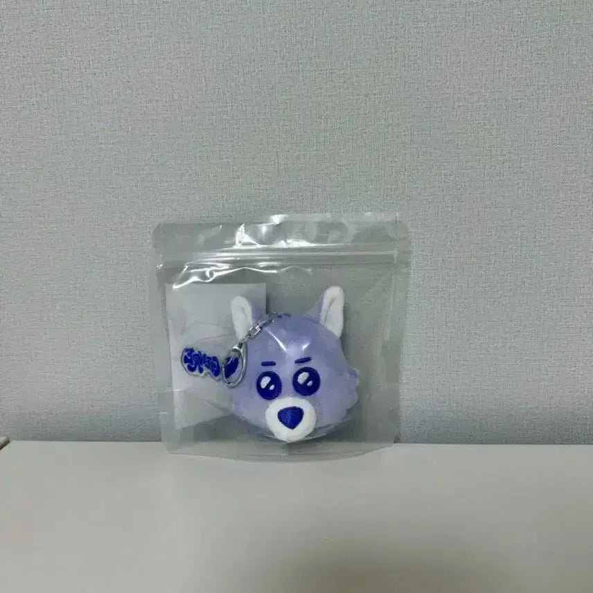 미개봉) 보넥도 보이넥스트도어 명명이 페이스 키링