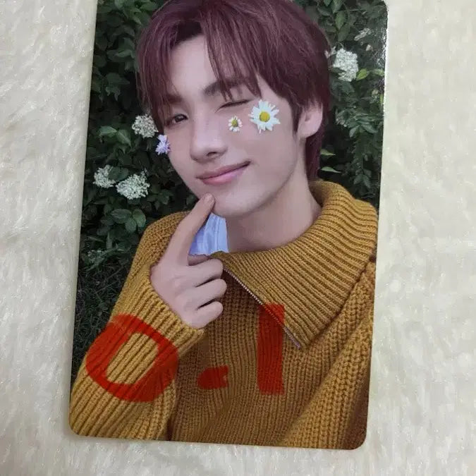 투어스 영재 포카