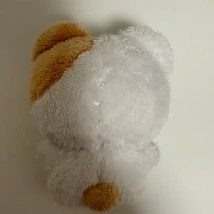 보넥도 운학 인형 양도