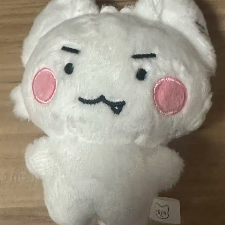 플레이브 비공굿 은호 인형 암긍개